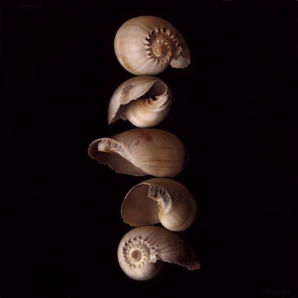 Tatyanna Klevenskiy Artwork - Five Shells 40 x 40